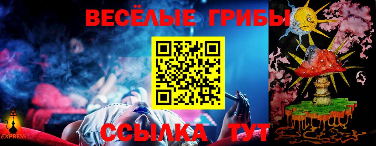 Псилоцибиновые грибы Cubensis Протвино