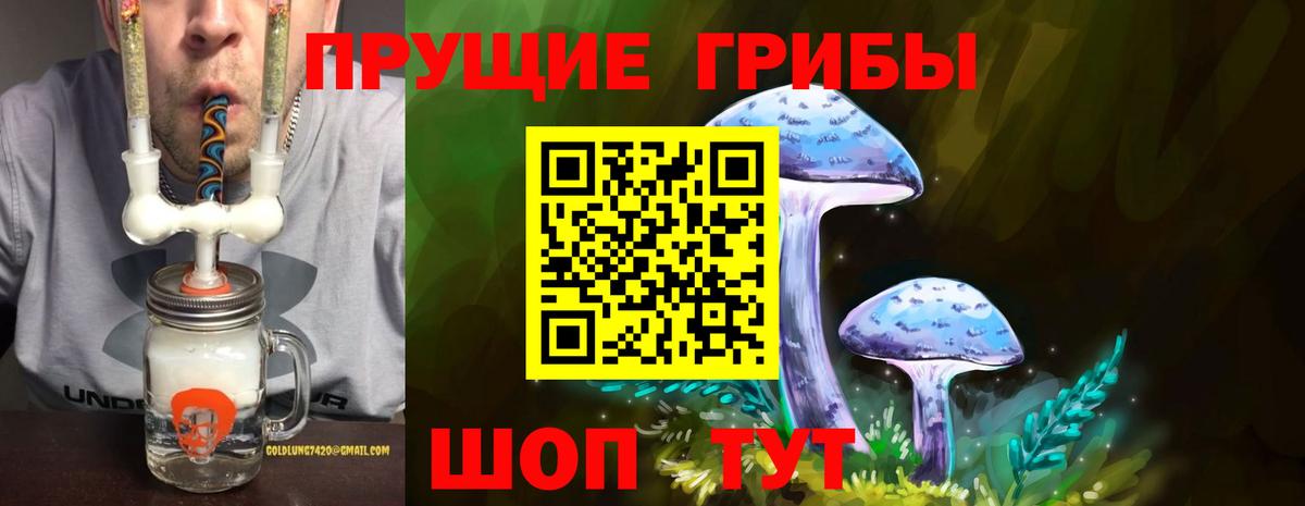 Протвино  Псилоцибиновые грибы мицелий  Вход с VPN 