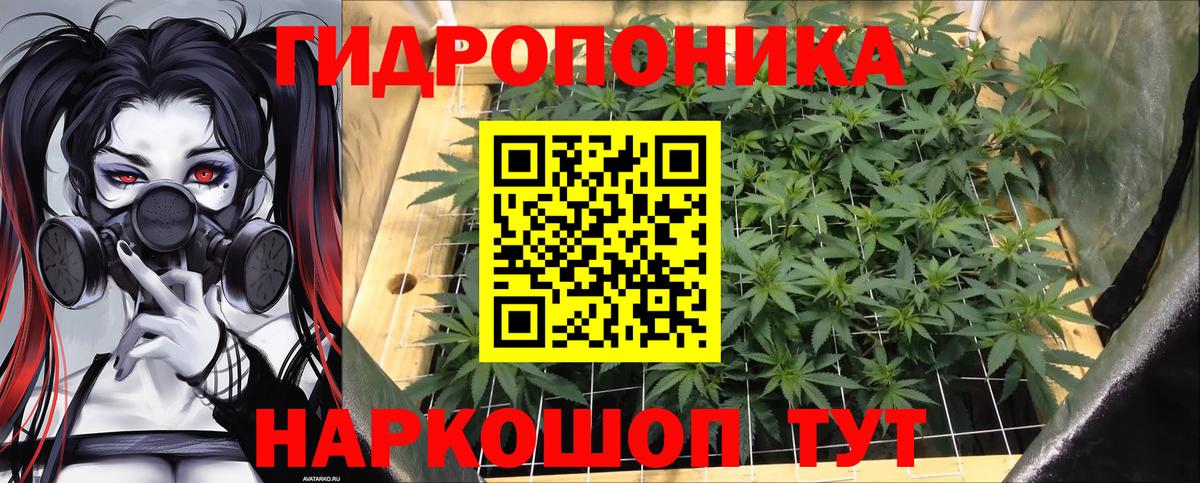 Канабис MAZAR Протвино